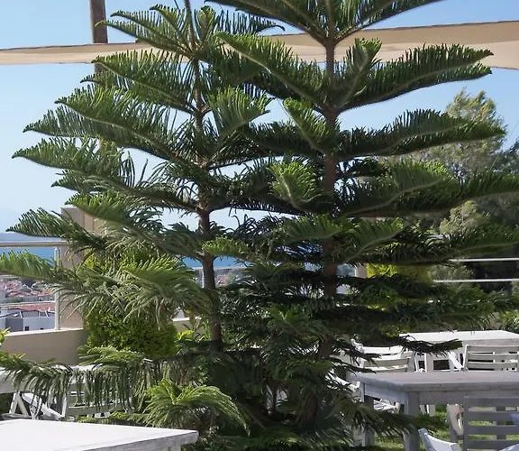 Szálloda Cinar Boutique 2*